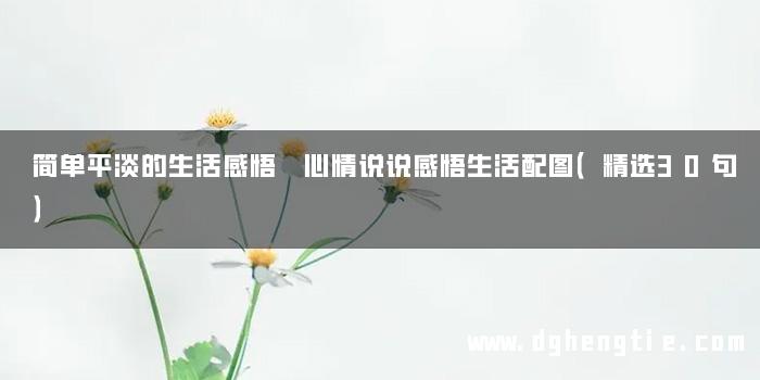 简单平淡的生活感悟 心情说说感悟生活配图（精选30句）
